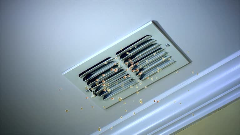 Best Professional Duct Cleaning Services  in South Kensington, MD
